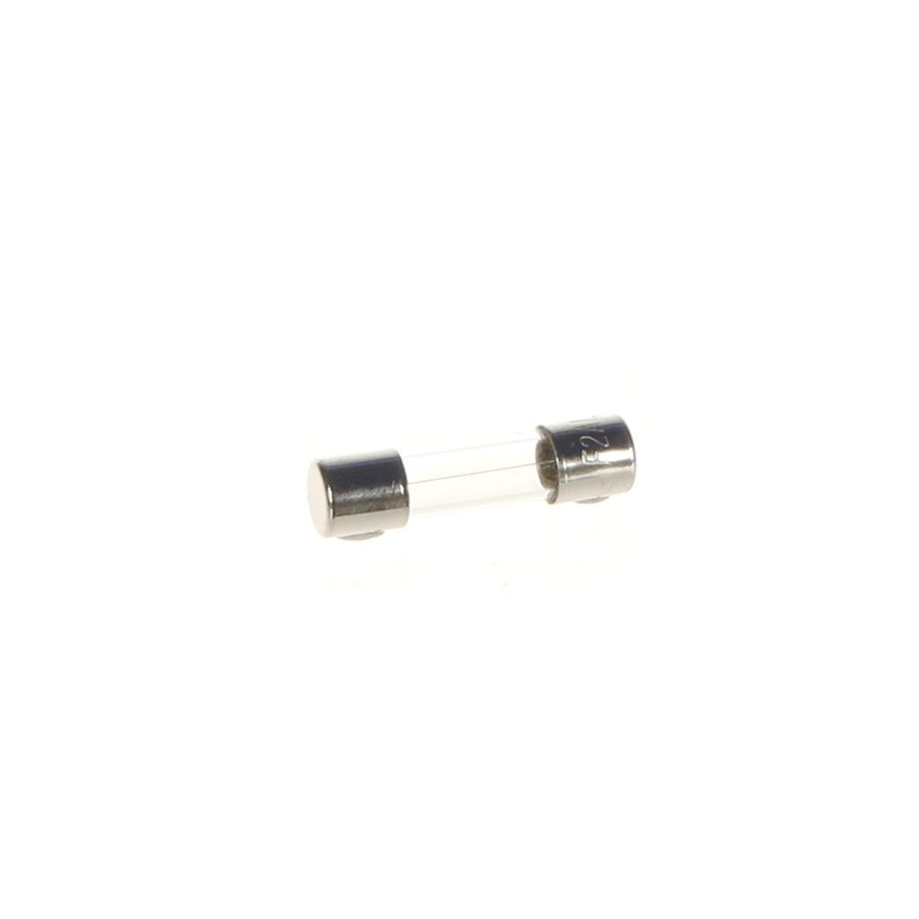 65200200 LAINOX 2AMP FUSE